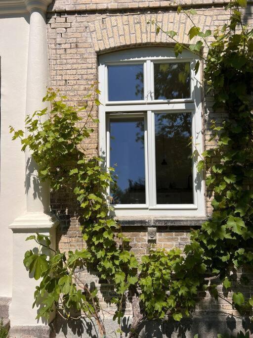 Idyllisches Appartement Nahe Ostsee Und Schlei Rabenkirchen-Faulueck Luaran gambar