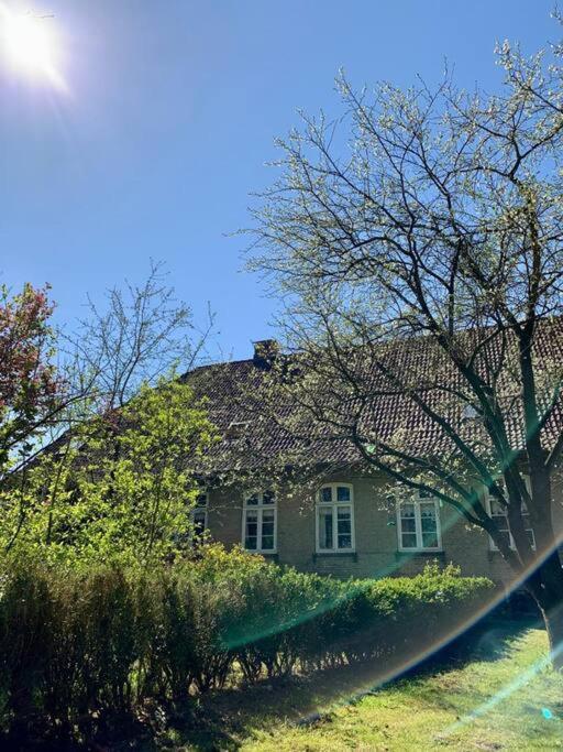 Idyllisches Appartement Nahe Ostsee Und Schlei Rabenkirchen-Faulueck Luaran gambar